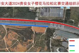 注意！2024贵安女子樱花马拉松赛期间部分道路临时交通管制图片