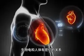生物电与人体的关系图片