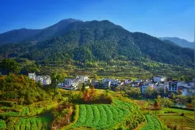 自家老宅地下挖出天价古钱币，祖上身份不简单，古钱币不用上交图片