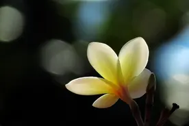 一个人负债累累的时候，可以看清他的人品图片