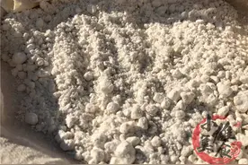 红薯丢进破壁机里！1分钟变纯正红薯淀粉，做法简单，省钱又实用图片