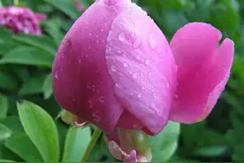 五十多岁的女人离婚了能去哪里图片