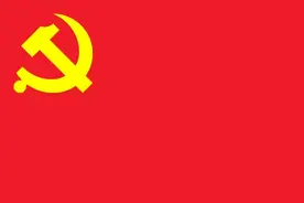 谈谈“机动巡视”图片