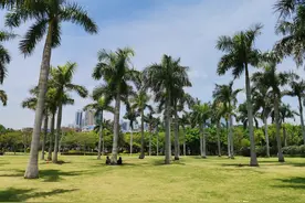 长期定居就去这3座二线城市：医疗有保障，冬暖夏凉，养老很安逸图片