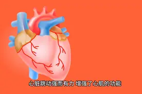 游泳对心脏、肺部功能、减肥和抵抗力的影响有哪些？图片