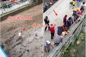 广西陆川：数百人围观一老伯下河捉鱼，网友：这鱼送我也不敢吃图片