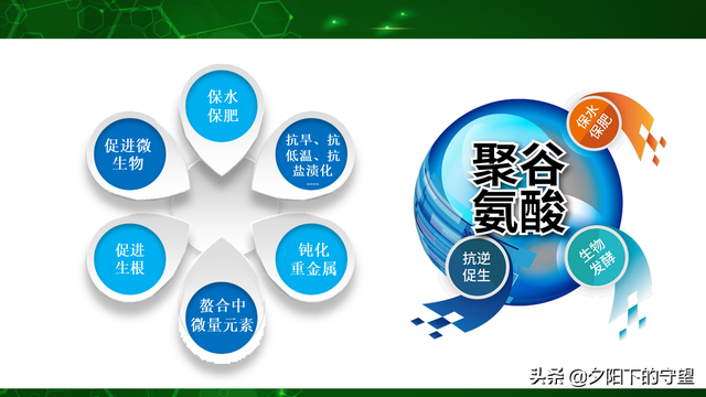 聚合氨基酸-肥料的增效因子