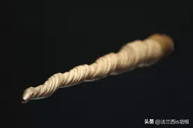 北京警方查获19根独角鲸“独角”，能长3米长，曾比黄金贵10倍图片