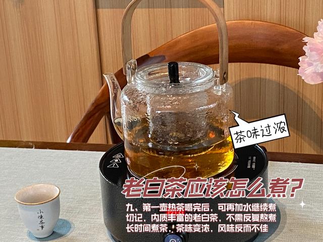 没有炖壶的养生壶怎么煮花胶 2026年没有养生壶怎么煮花茶