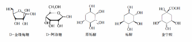 植物功效成分-鞣质