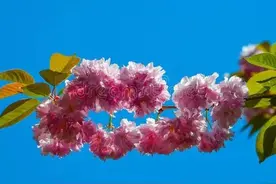 独处可以做的40件小事，建议收藏图片