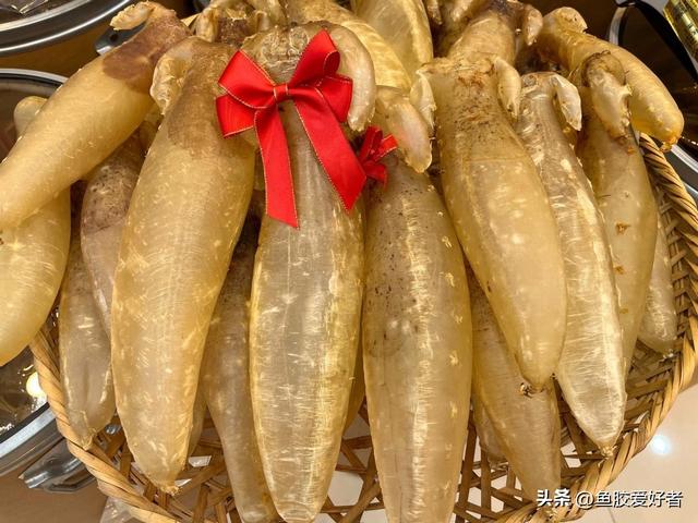 如何辨别鱼胶洗药 2026年如何辨别鱼胶洗药好坏