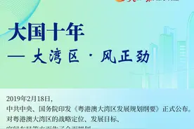 大国十年——大湾区篇图片