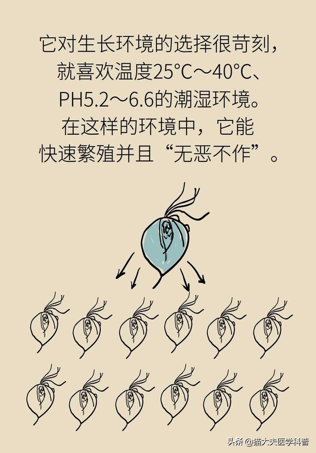 滴虫性阴道炎是很严重的妇科病吗？会不会传染？