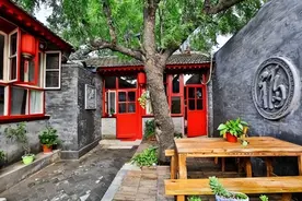 俗语“五树门前栽，不富也会发”，五种树都没看上，为啥？图片