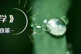 《财政科学》郭玲 汪洋 陈恩霖：纳税声誉对企业税负：抑制还是抬升？图片