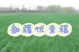 新疆优素福图片