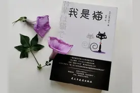 夏目漱石讽刺巅峰《我是猫》：猫眼里看到的世界，是浮生，是人情图片