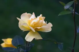 一个女人对你“动了情”，才会产生这些“生理反应”，很真实图片