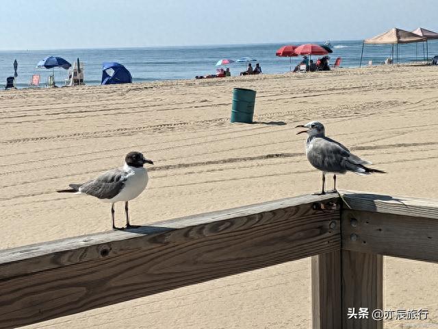 北戴河自驾游(北戴河二日游最佳路线)