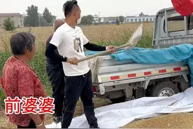 女子改嫁后，带现任老公帮前公婆收麦子，一句话感动众人图片