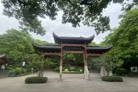 亲历|每天巡逻20公里，蜿蜒山路健步如飞，他们这样守护“杭城大氧吧”图片