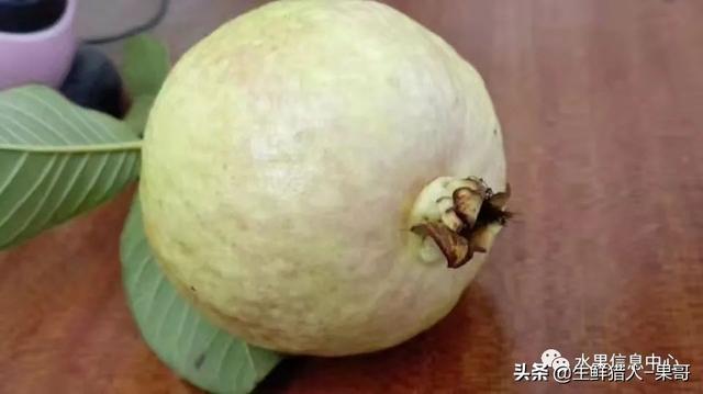 小众水果芭乐，又被茶饮店们带火了，最全芭乐说明书