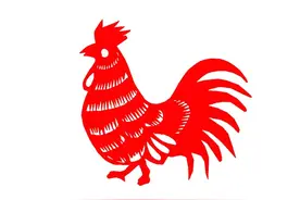 生肖鸡的性格、缺点、财运、婚姻图片