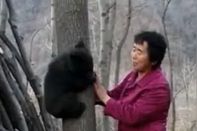 辽宁夫妇发现被弃小黑熊，义务救助将其养大，谁知比小孩还听话图片