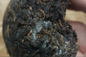 1克熟茶内含5亿霉菌！熟茶是“脏茶”？普洱茶到底还能不能喝？图片