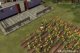 金庸群侠传3D重置版—走邪派路线做大恶人如何打过正派十大高手图片