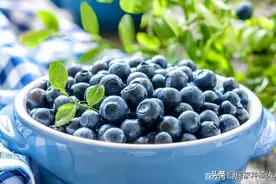 盆栽蓝莓结果少，用上1个“小绝招”，一次结果几十斤，营养美味图片