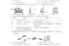 2023年安徽省合肥市第42中学九年级化学一模试卷图片