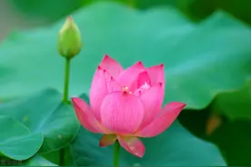女人要是喜欢你，就会在这些方面给你机会，不要不懂图片
