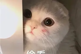 “爸爸，你为什么压着妈妈？”记住这么回答，才不尴尬！图片