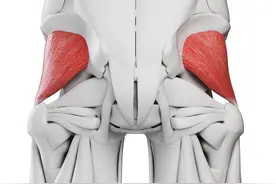 臀部疼痛？梨状肌综合症可以这样治疗图片