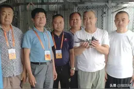 历时30天，四川超远程再归一羽，此鸽来头不小图片