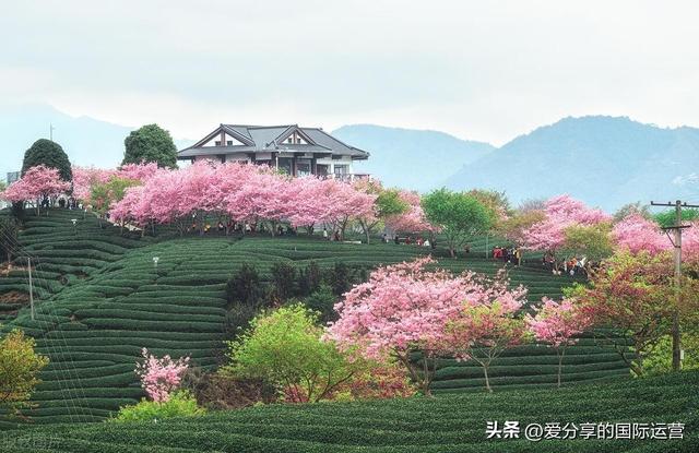 每日睡前胎教故事+唐诗三百首大全爸爸妈妈讲免费阅读之三十八