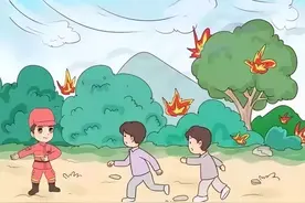 关于森林防火，这些常识你要知道！图片