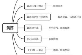 经方用黄芪不在于补气，而重于……图片