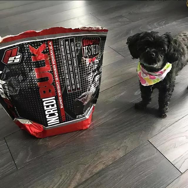 健身新手到底该不该吃运动补剂？