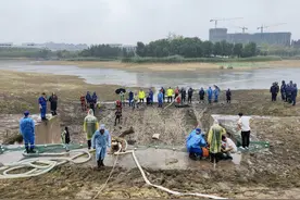 你不知道的成都“外来户”！可能都是外来入侵物种图片