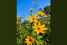 活了半辈子，总结出40条人生经验:图片