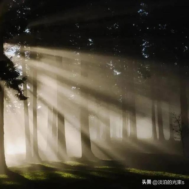 ����Ȧ����ܻ���İ�����侭��