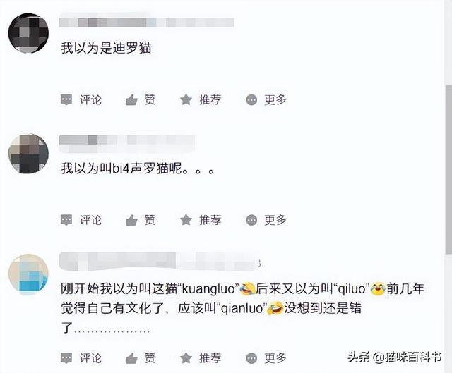 暹罗猫“暹”字怎么读？竟然有很多人读错，读音千奇百怪