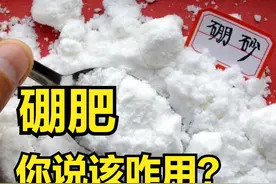 硼肥作为一个重要的微量元素，它应该如何用？能产生什么样的效果图片