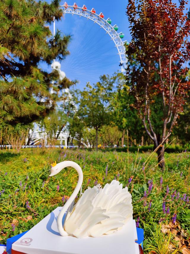 ��������������Ȧ����쵰�⣬����˵���