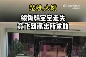 【#民警给猫头鹰幼崽喂饭絮絮叨叨#】图片