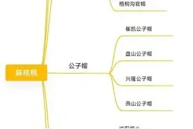 文玩核桃之四大名核图片