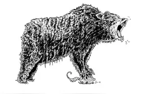 极度恐慌：人熊大战（中）图片